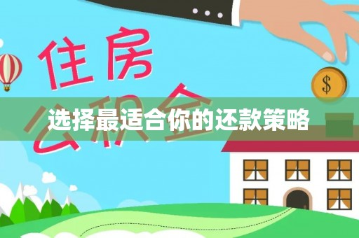 筠连选择最适合你的还款策略